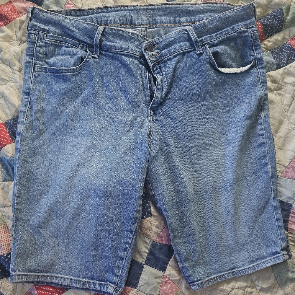 Pair of Jean shorts
